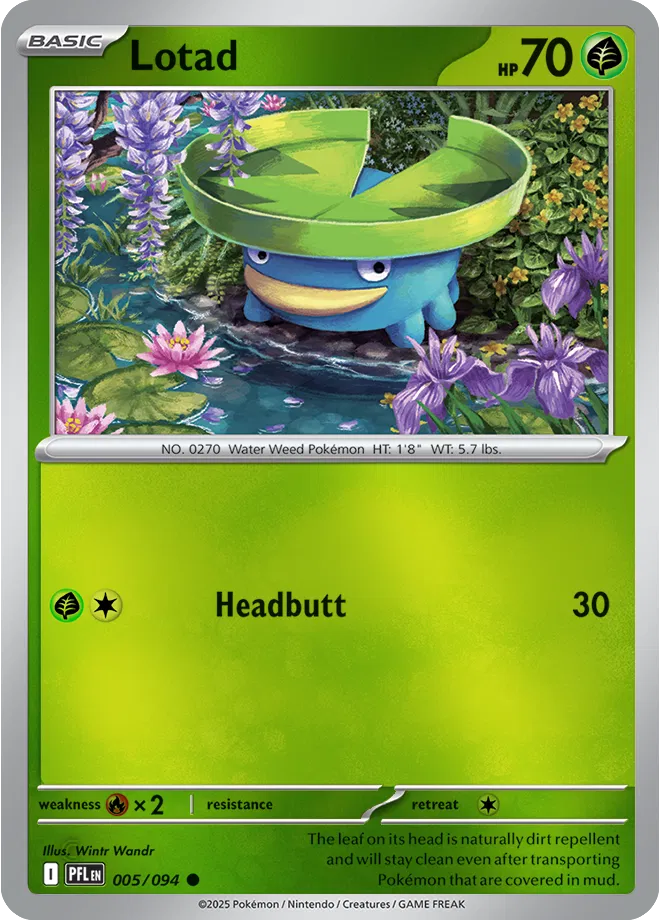 Lotad Phantasmal Flames Common • 005/094 Reverse Holofoil