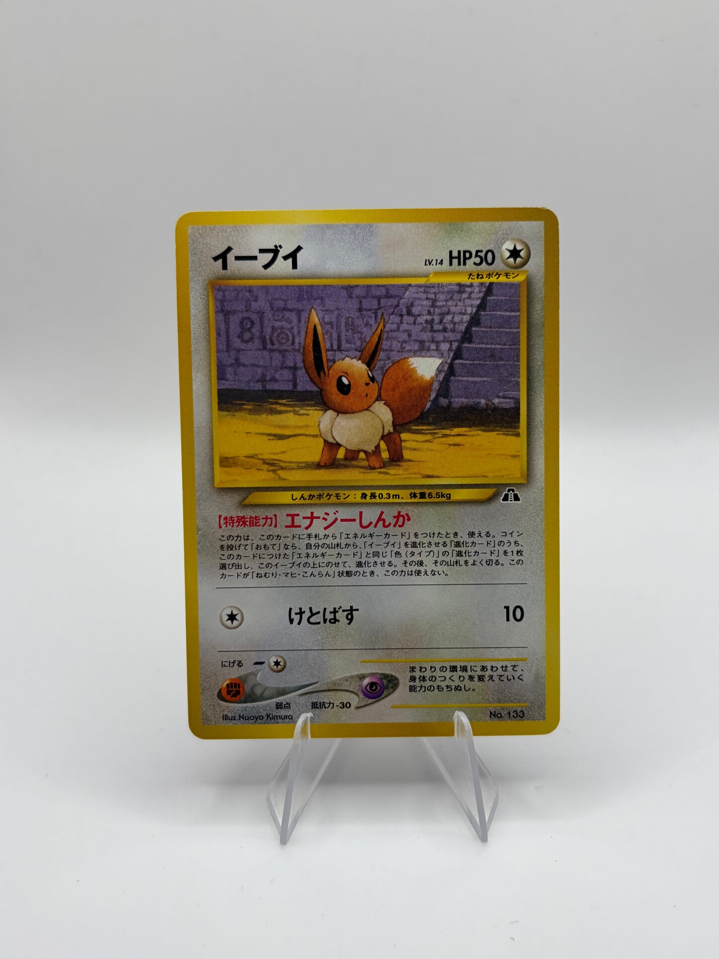 Eevee Neo Premium File 2 (JP) Unnumbered Promos (2000) Promo