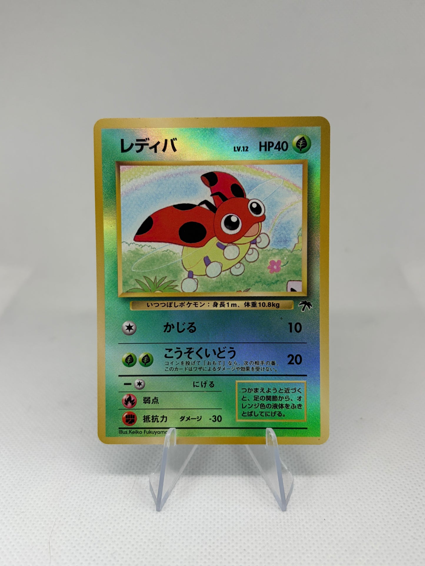 Ledyba (JP) Southern Islands Normal